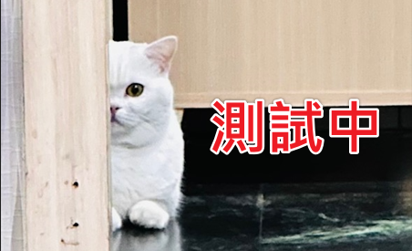 黑色青年公混種犬，中型, 收容編號 …4002