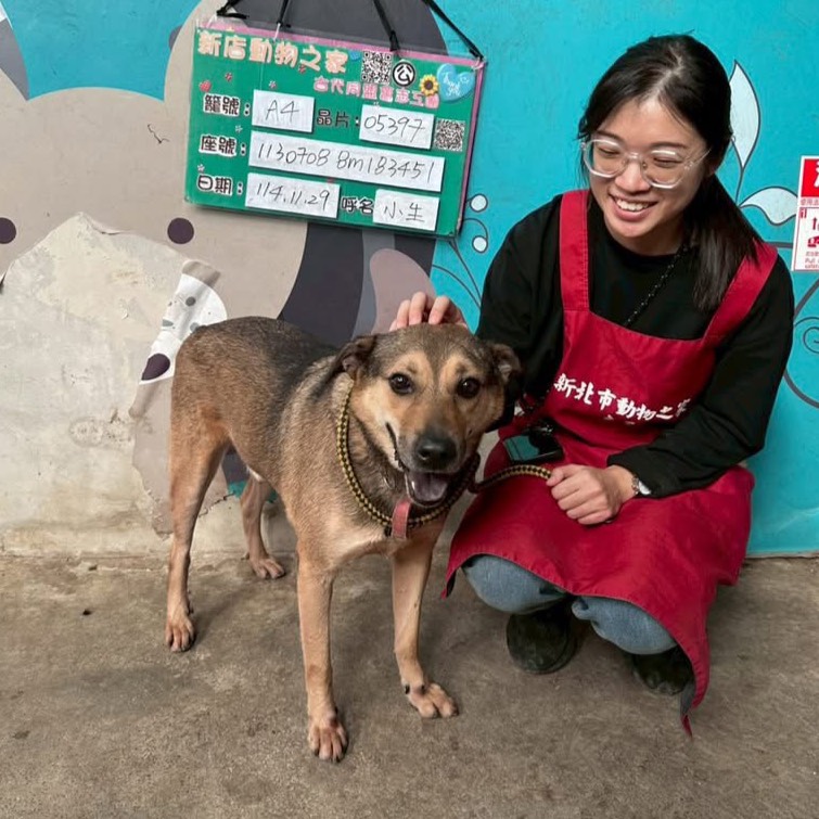 Photo of No. AAACG1150126002, Adult · Male · Medium · Mixed breed